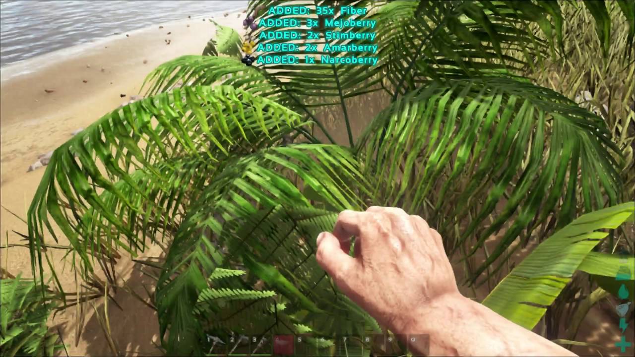 How To Get Fiber Ark Survival Evolved Ps4 Xbox One Youtube