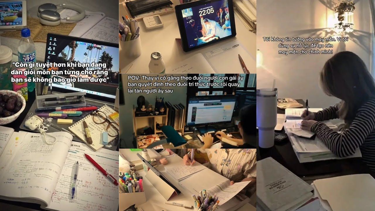 //STUDY MOTIVATION// 