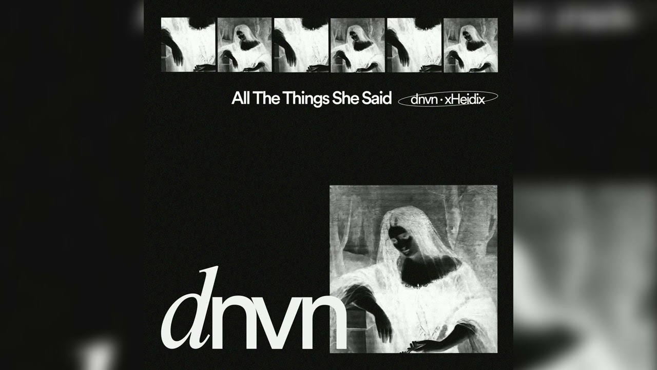 dnvn, xHeidix "All The Things She Said"