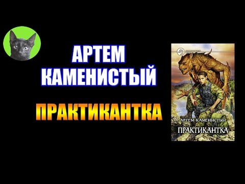 артем каменистый практикантка fb2