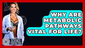 Why Are Metabolic Pathways Vital For Life? - Science Through Time