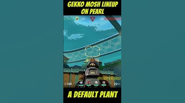 Gekko MOSH Lineup on PEARL | A Site Default Plant #gekko #발로란트 #valorantlineups #valorantclips
