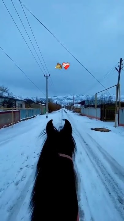 Звук бомба 😍🇰🇿🔥🤤🚀 - YouTube