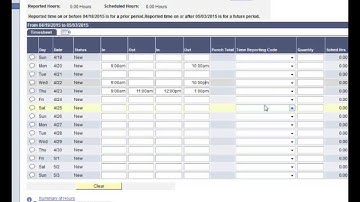 Online Timesheet Errors