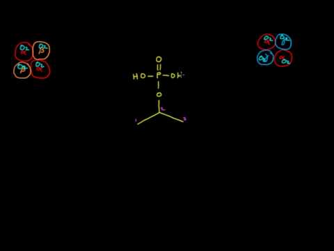 Video: Skillnaden Mellan Hemoglobin Och Hematokrit