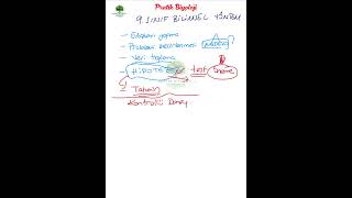 9. Sınıf Maarif Model Bilimsel Yöntem Basamakları Kısa Pratik Özet