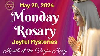 MONDAY HOLY ROSARY 🌹 May 20, 2024 🌹 Joyful Mysteries of the Holy Rosary || TRADITIONAL ROSARY by Dominus Tecum 319 views 9 days ago 24 minutes