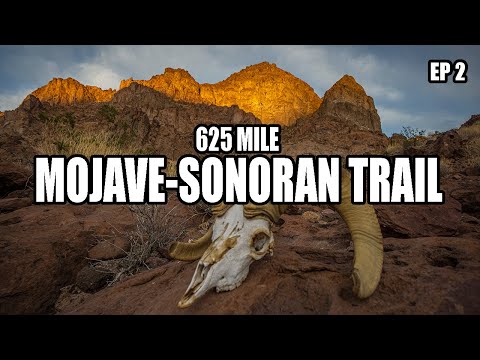 Mojave-Sonoran Trail Thru Hike EP2: Jimbilnan Wilderness & Pinto Valley Wilderness, Lake Mead