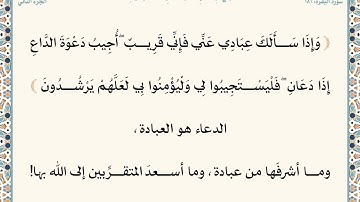في رحاب القرآن الكريم