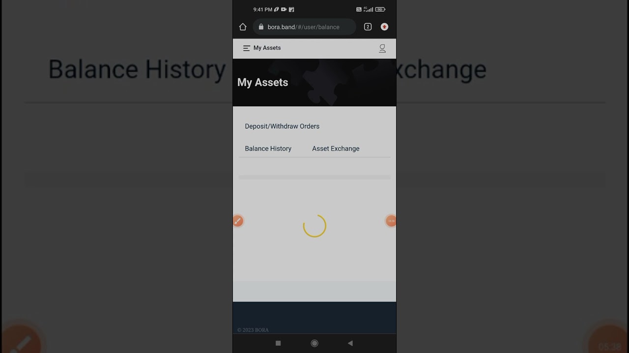 BORA BAND Trading Update. Video No. 2 
