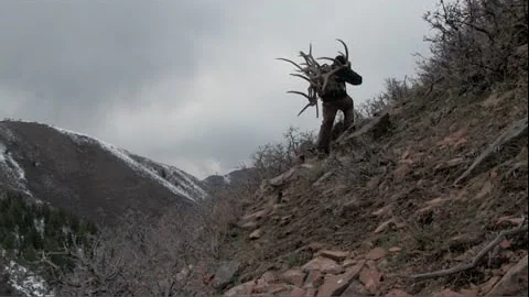 2015 Utah Extended Archery Elk Hunting Brandon Pitcher/Summer Sheds and Scouting