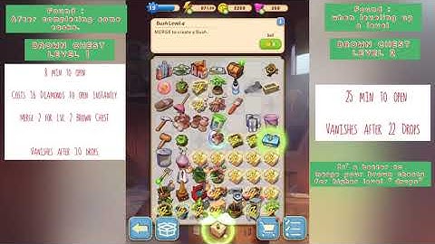 MERGE MANSION - ALL ABOUT BROWN CHEST LEVEL. 1 ,WHERE TO GET THEM, RARE ITEMS FULL STORY