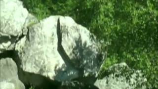 Full Largest glacially deposited boulder, Mysterious hanging boulder & the Watchdog of caves. News