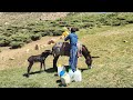 Collecting water from the #after water spring #in the #Kohestani# region of Bezi Meni # Helisad ####