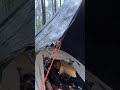 solo camping in heavy rain #asmr #shorts #camping #solocampinginheavyrain