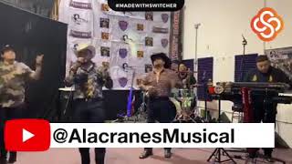 Alacranes Musical Magdalena (En Vivo)