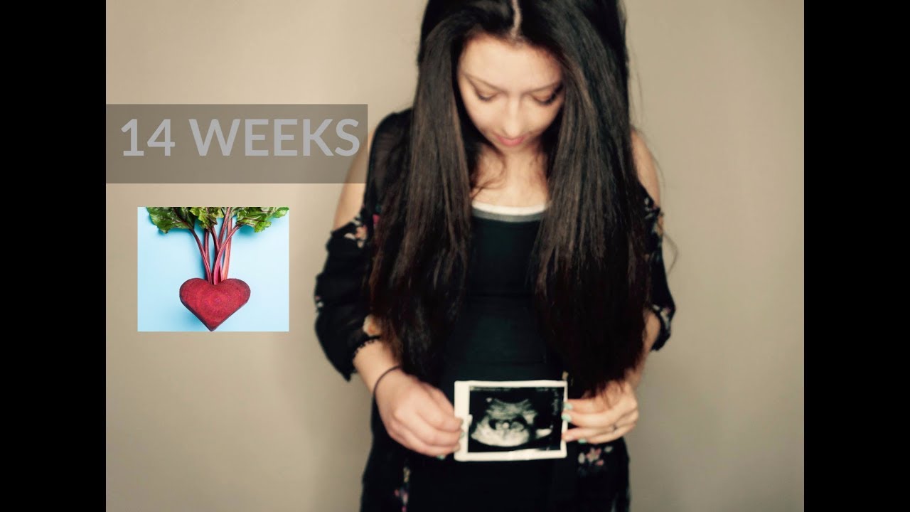 14-weeks-pregnant-what-to-expect-youtube