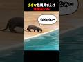 ㊗️1000万再生!! 小さな監視員さんは意識高い系 #ほっこりショート