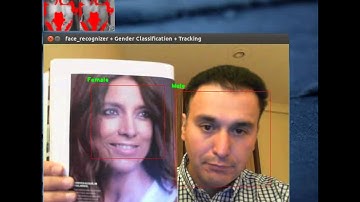 Gender Classification SMC-2013