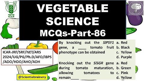 Vegetable Science-MCQs (Part-86) #aho #jrfhorticulture  #icarnet #jrf2024