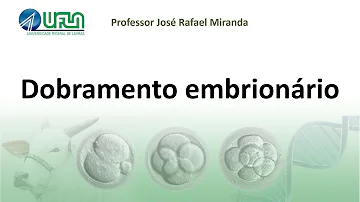 Como ocorre o dobramento do embrião?