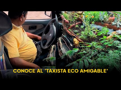 ¿Taxista eco amigable? Conoce al peruano que trabaja con un jardín en su taxi