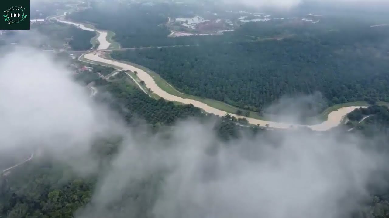 Classical Piano Music for a Relaxing Weekend | DNK.HealthyRelaxingMusic