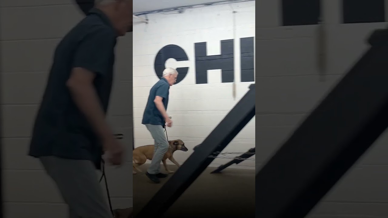 City Confidence Training in Action!