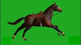 Greenscreen Kuda Lari .Animasi Kuda Lari Greenscreen Bebas Copyright.