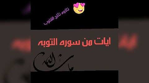 ايات السكينه والهدوء القارئ عمر بن عبد العزيز