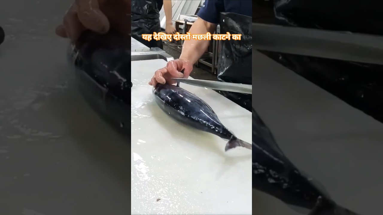 The BEST Way to Cut a Fish Like a Pro!