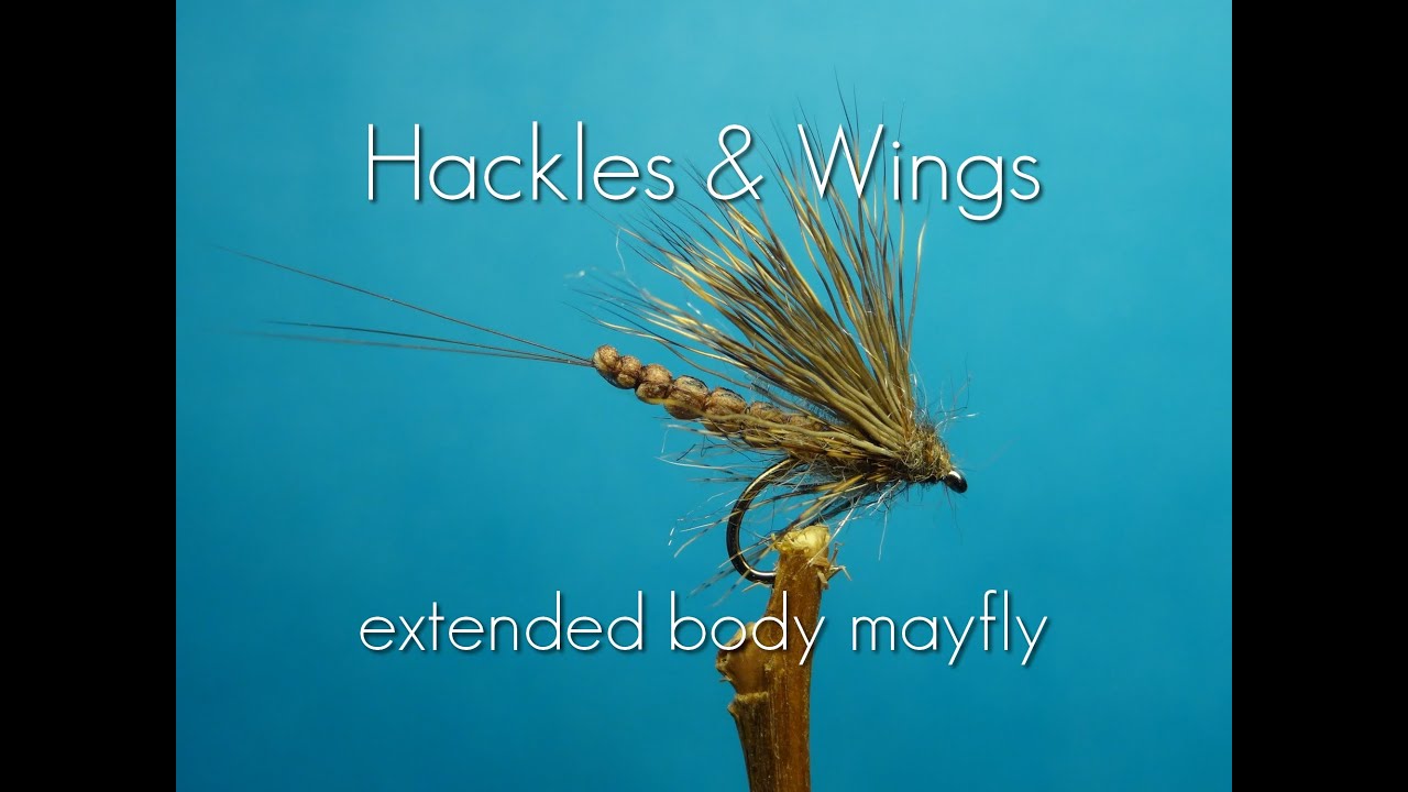 Fly Tying Extended Body Mayfly YouTube