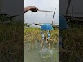 Amazing Fishing Idea By Hook - 27 #fishing #nature #shorts