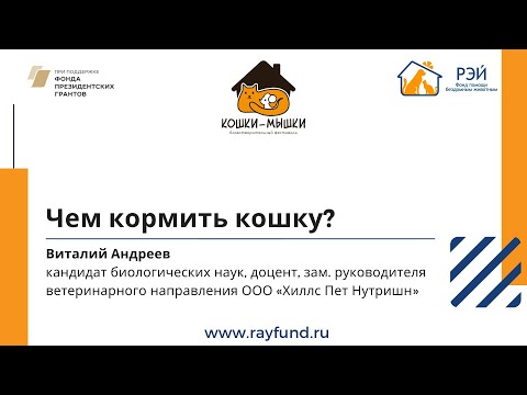 Чем кормить кошку