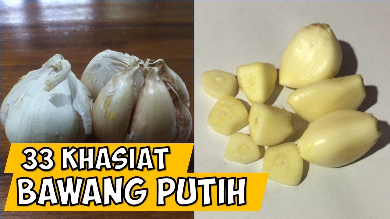 Manfaat Bawang Putih  Untuk  Kesehatan  33 Khasiat  Bawang 