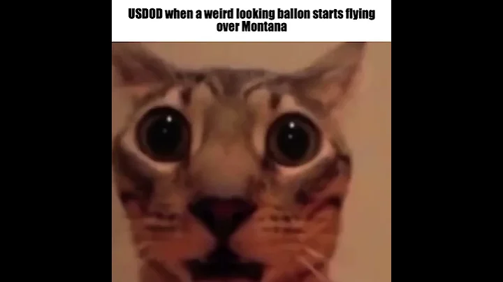 The infamous griefer popbob