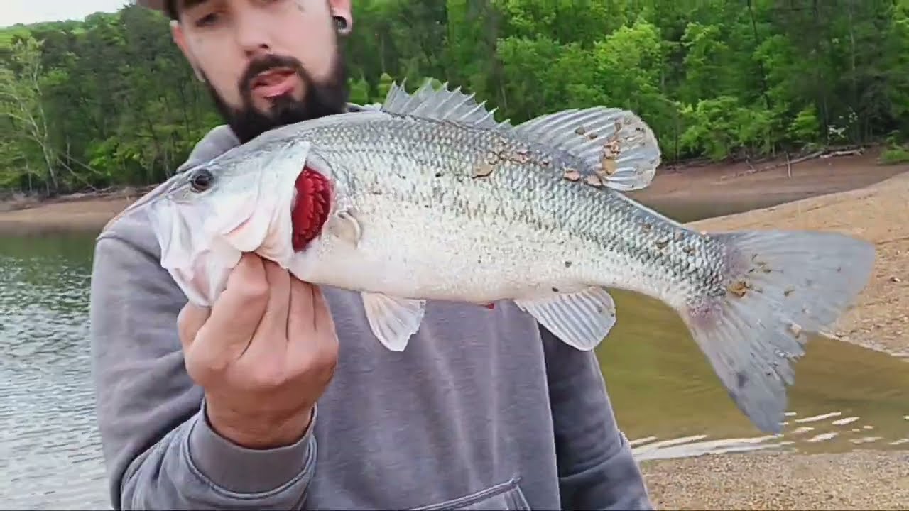 Got on board with 1 largemouth Bass. #bass fishing #OFFTHEBEATINPATH