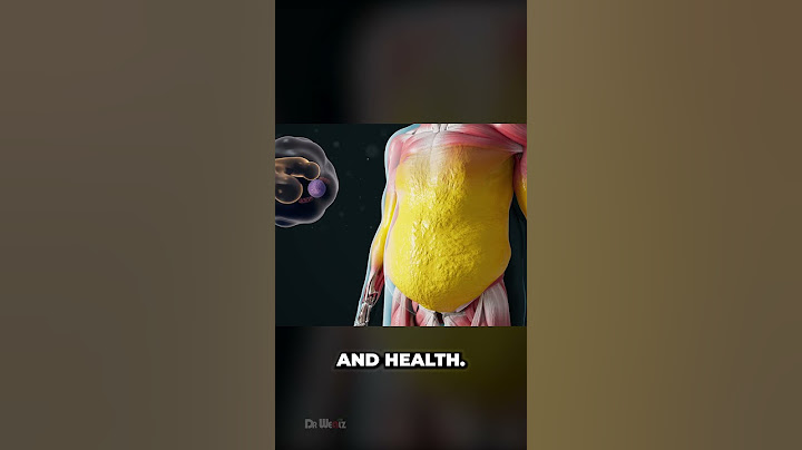 How Does Your Body Burn Fat (The Process of Weight Loss)