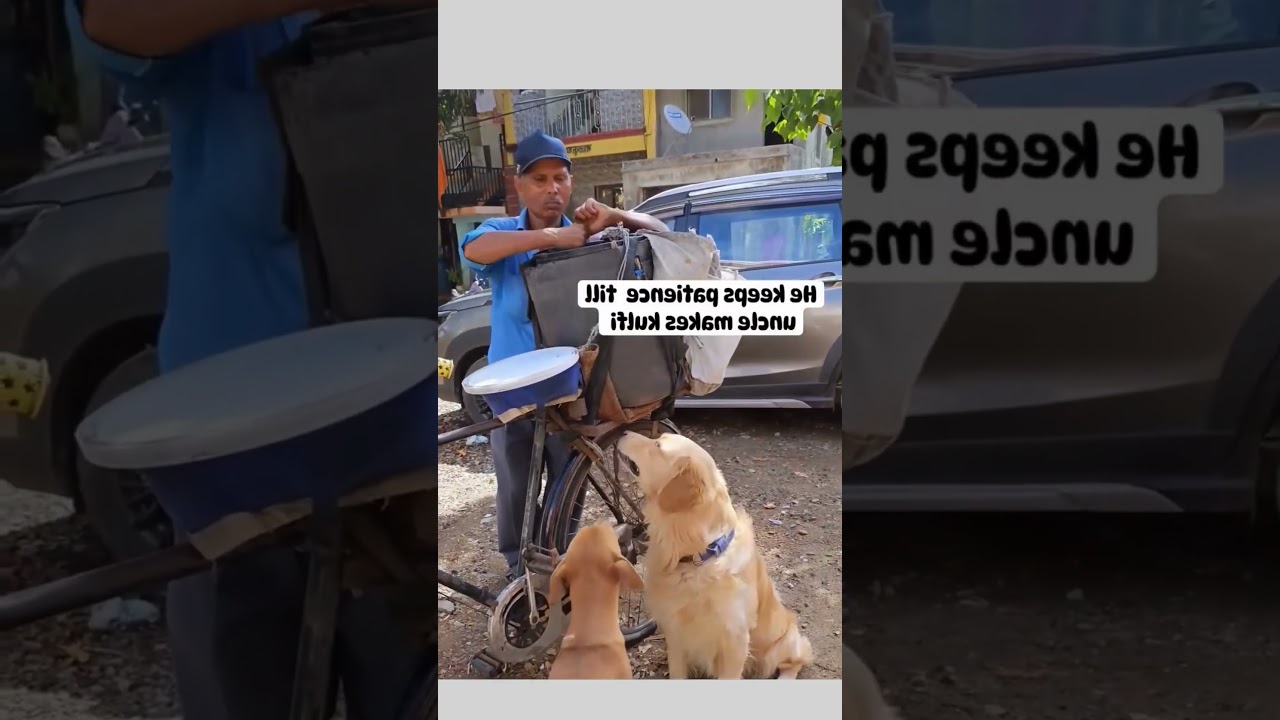 Voice-Overs That’ll Crack You Up! 😆 