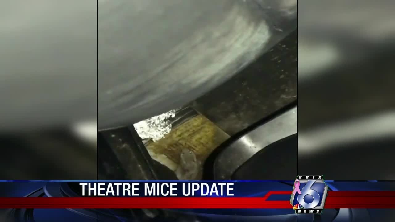 Results of AMC Theater mice inspection to be released soon