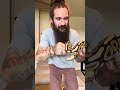 Ball Python *UNBOXING* Part 1 #ballpython #ballpythonbreeder #ballpythonmorph #reptiles #snake