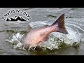 Fishing 7 Rivers In 7 Days, Over 600 Miles Traveled. - 7 Day Challenge Official Movie