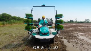 Kubota rice transplanter I Kubota SPV6MD I Rice transplanter