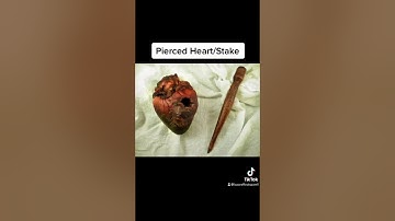 Is This Proof That Vampires Exist? 🩸 🦷 #shorts