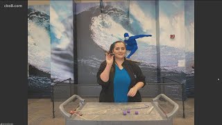 Fleet Science Spring STEM Camps