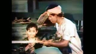 HANG JEBAT 1961 FULLMOVIE- WARNA BY AI -PIXBIM