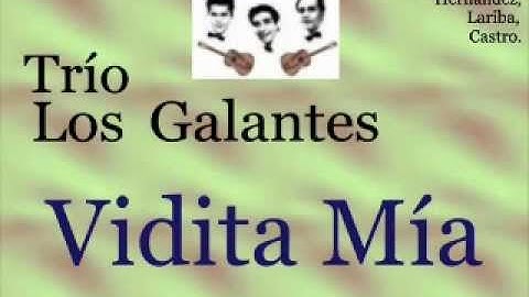 Trío Los Galantes:  Vidita Mía  -  (letra y acordes)