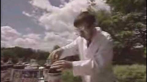 Mentos and Diet Coke Explosion -How They Do That?