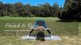 Yoga For Your Work Break - 10-15 minute stretch sequence | the wildflower paiges yoga & wellness