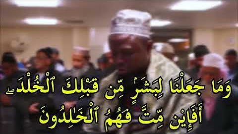 عكاشة كميني برواية رويس عن يعقوب الحضرمي